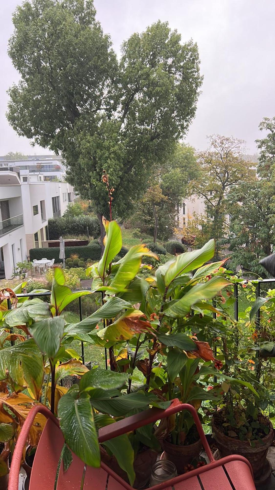 Barbarossa Suite Erfurt Esterno foto